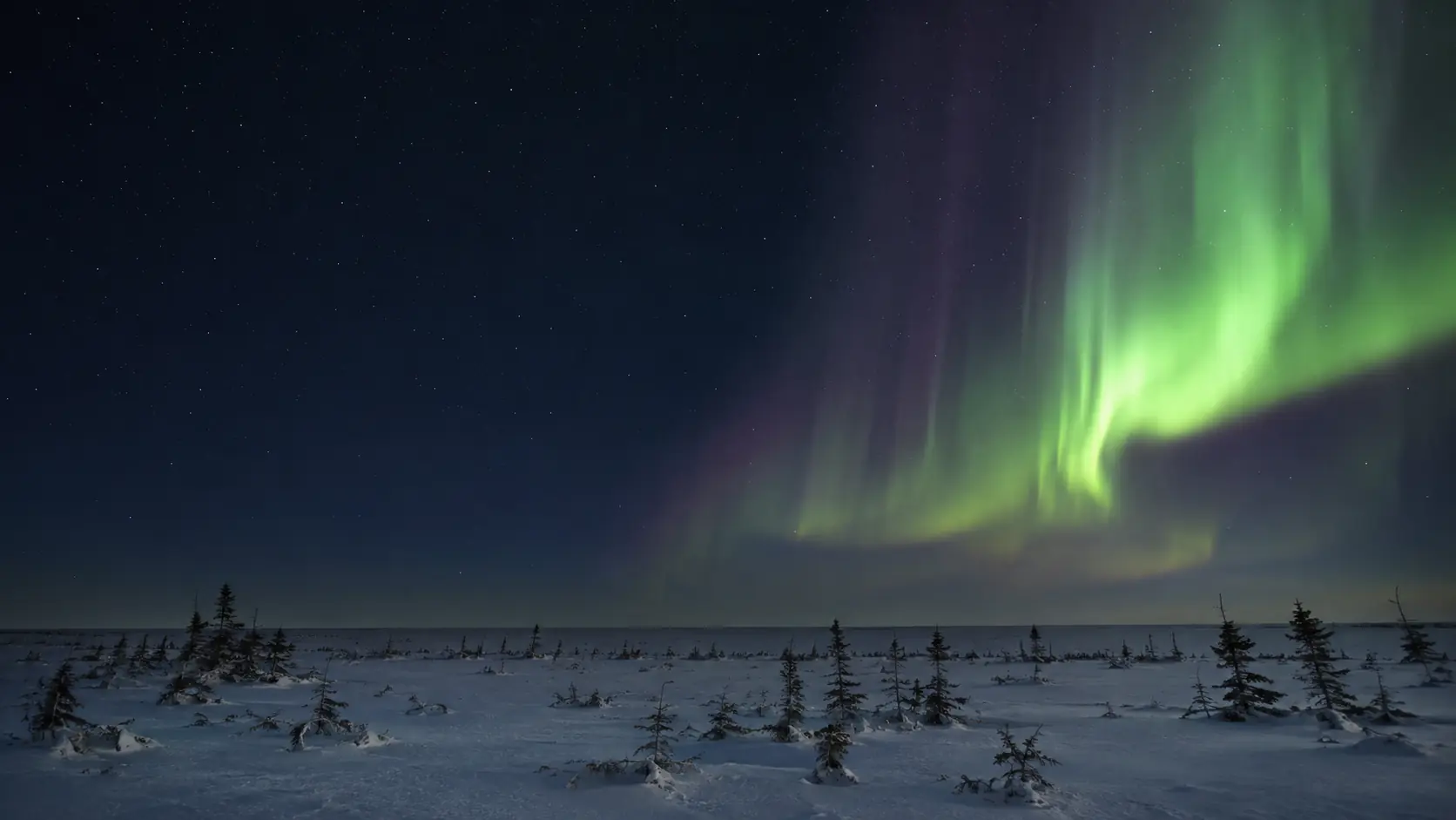 When the night sky becomes the landscape.