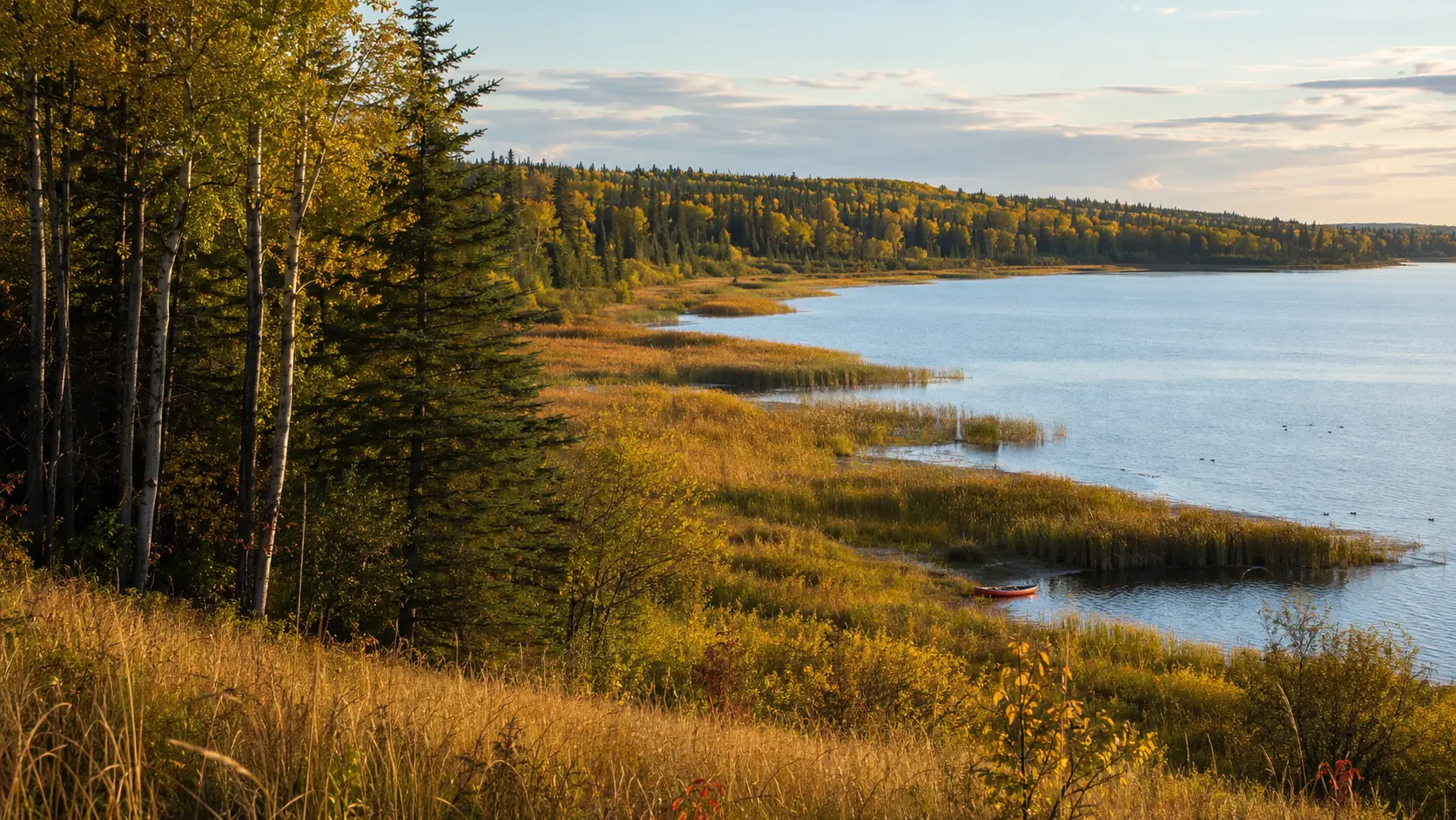 Where the forest meets the prairie