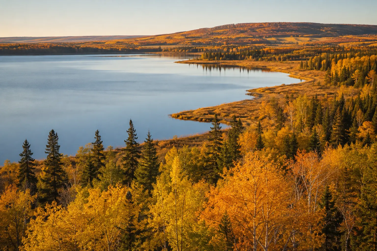 Where autumn clues
lead into bear country.